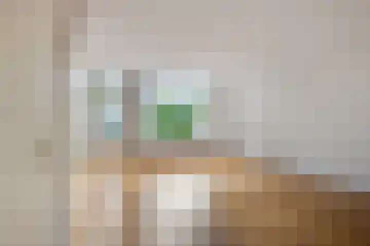 Diepvoorde 2718 Wijchen thumbnail 15