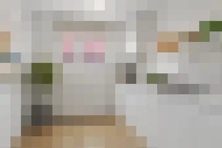 Diepvoorde 2718 Wijchen thumbnail 18
