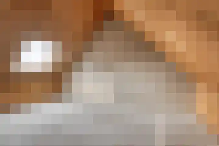 Diepvoorde 2718 Wijchen thumbnail 24