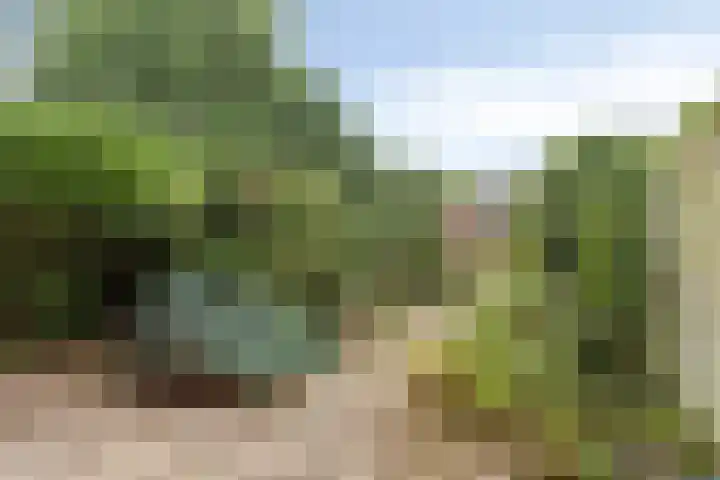 Diepvoorde 2718 Wijchen thumbnail 28