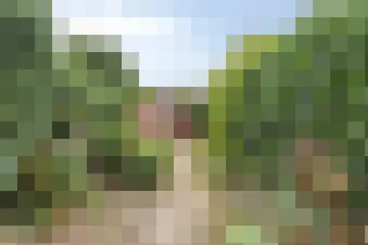 Diepvoorde 2718 Wijchen thumbnail 29