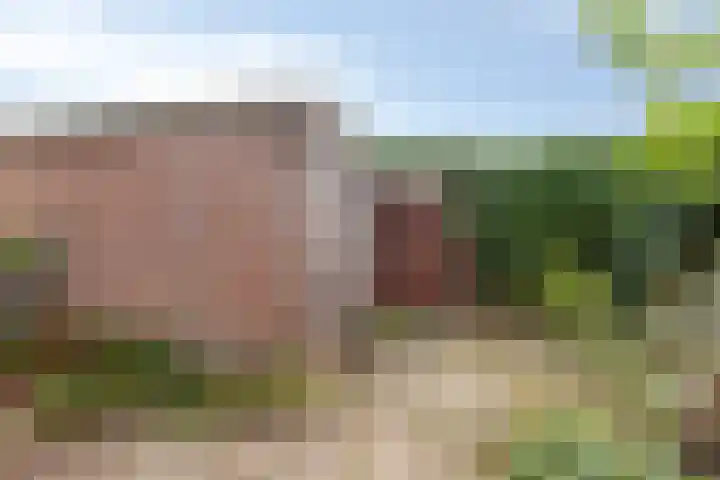 Diepvoorde 2718 Wijchen thumbnail 30