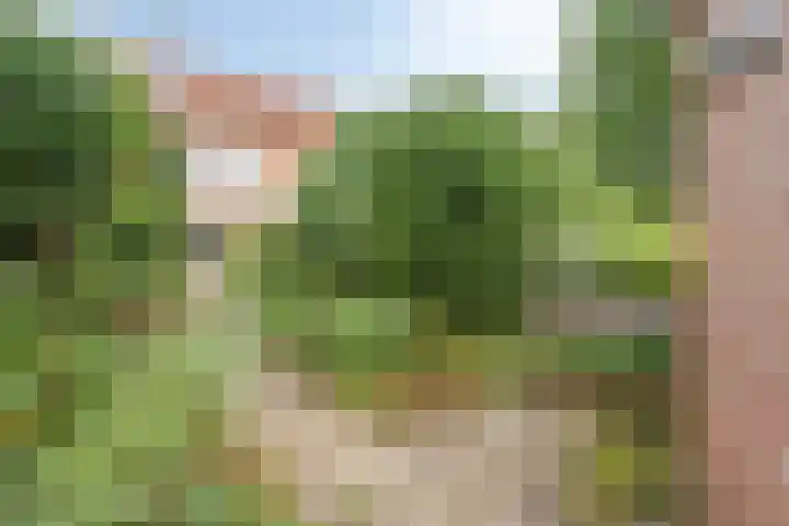 Diepvoorde 2718 Wijchen thumbnail 31
