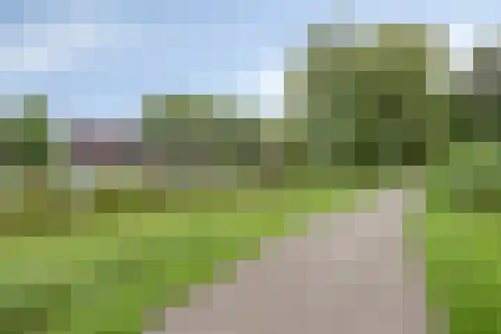 Diepvoorde 2718 Wijchen thumbnail 33