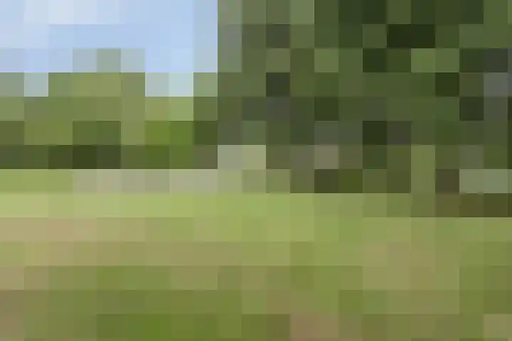 Diepvoorde 2718 Wijchen thumbnail 34