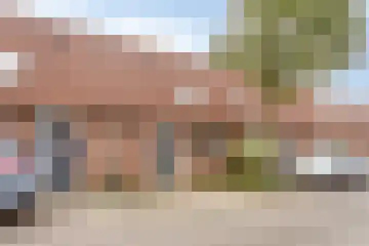 Diepvoorde 2718 Wijchen thumbnail 8