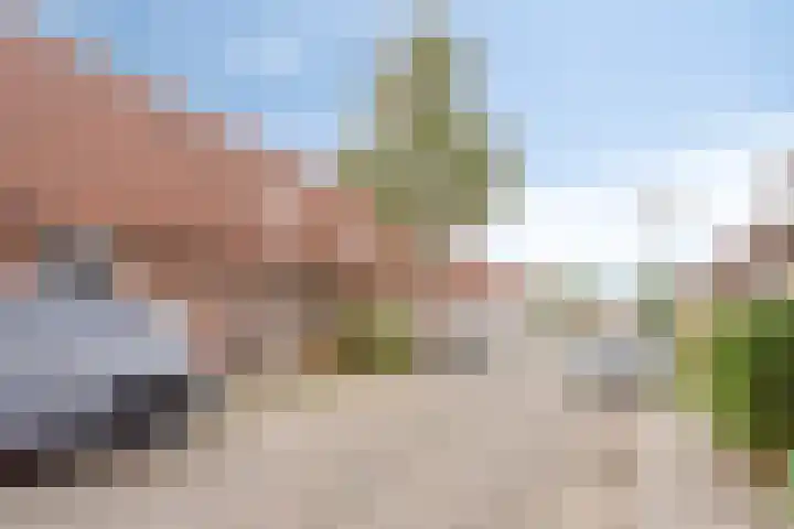 Diepvoorde 2718 Wijchen thumbnail 9