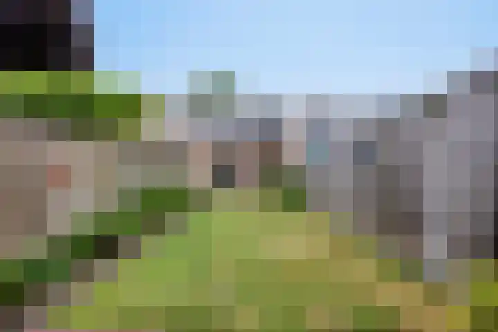 Diepvoorde 2812 Wijchen thumbnail 21