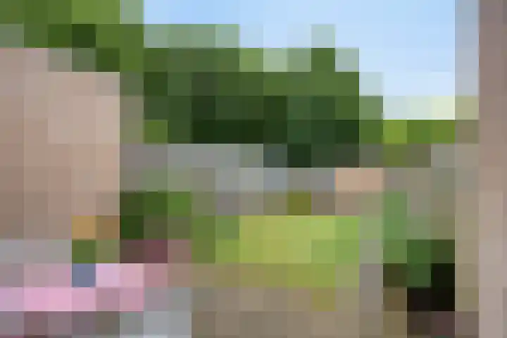 Diepvoorde 2812 Wijchen thumbnail 22