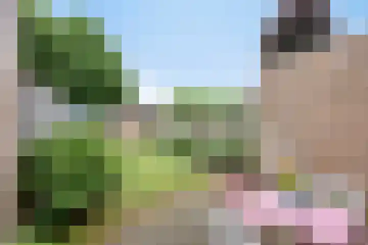 Diepvoorde 2812 Wijchen thumbnail 23