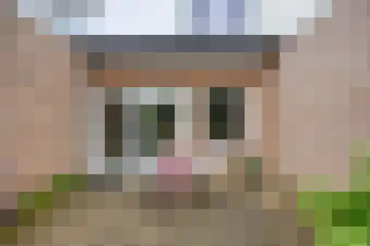 Diepvoorde 2812 Wijchen thumbnail 24
