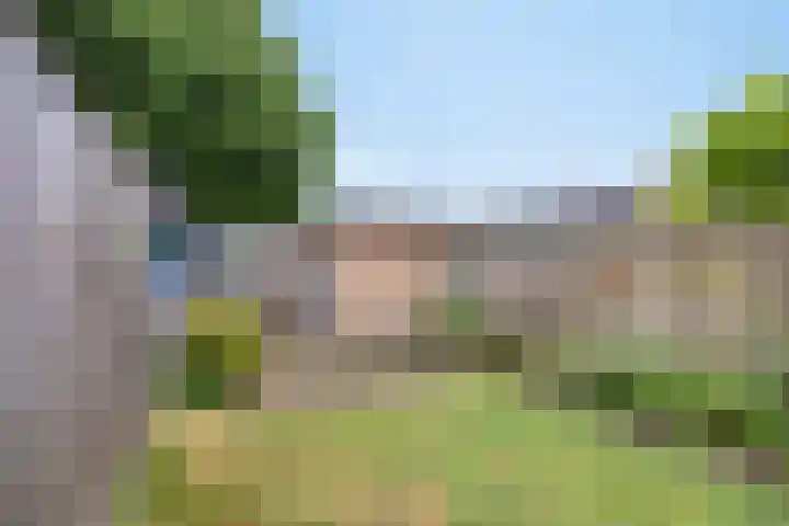 Diepvoorde 2812 Wijchen thumbnail 25