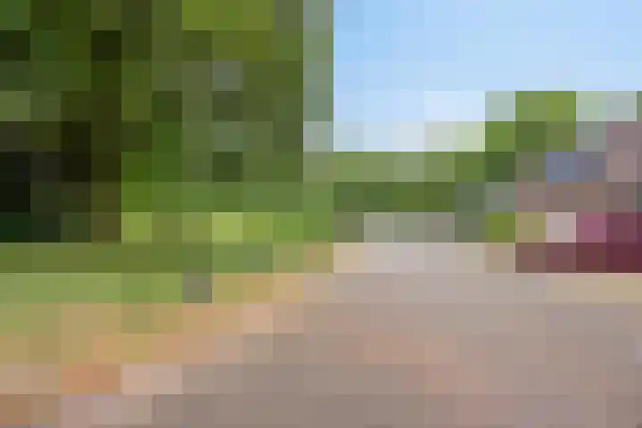 Diepvoorde 2812 Wijchen thumbnail 30