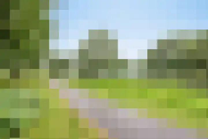 Diepvoorde 2812 Wijchen thumbnail 32