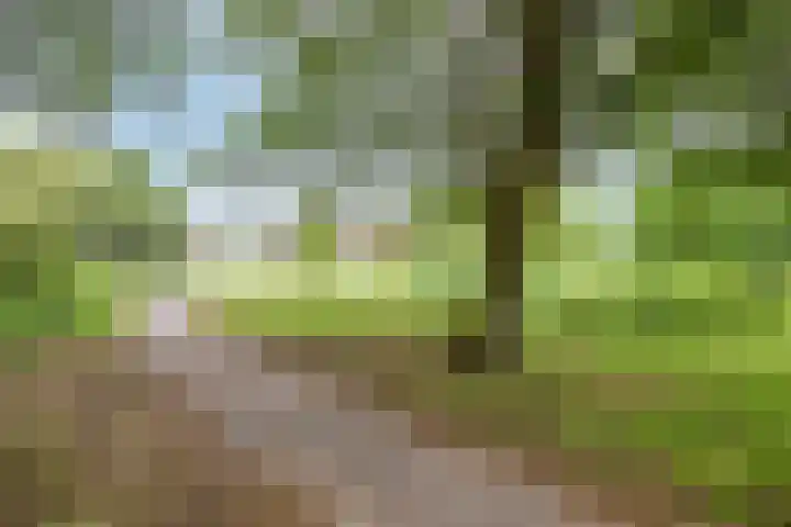 Diepvoorde 2812 Wijchen thumbnail 33