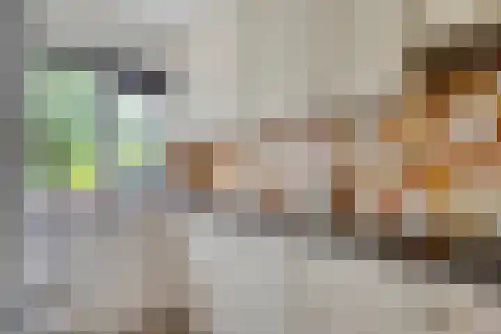 Diepvoorde 2812 Wijchen thumbnail 8
