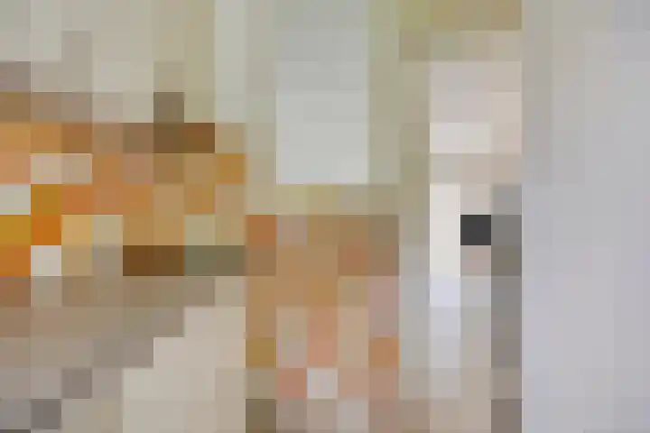 Diepvoorde 2812 Wijchen thumbnail 9