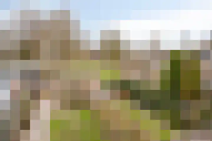 Diepvoorde 2901 Wijchen thumbnail 16
