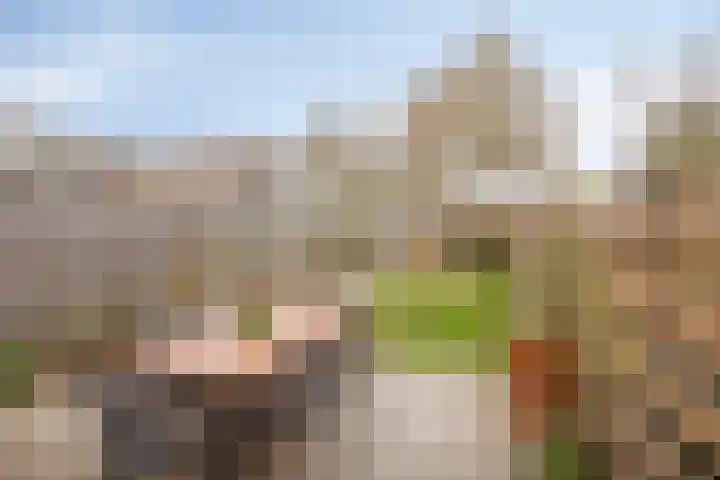Diepvoorde 2901 Wijchen thumbnail 19
