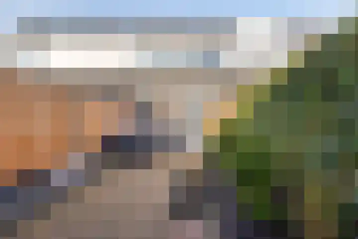 Diepvoorde 2919 Wijchen thumbnail 15