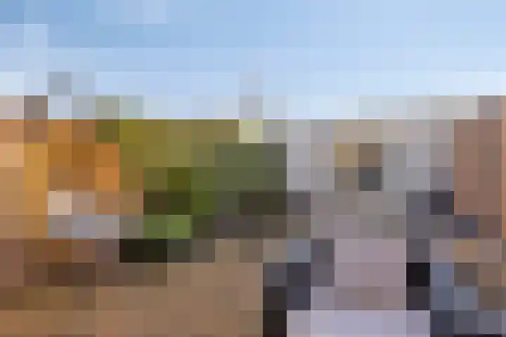 Diepvoorde 2919 Wijchen thumbnail 17