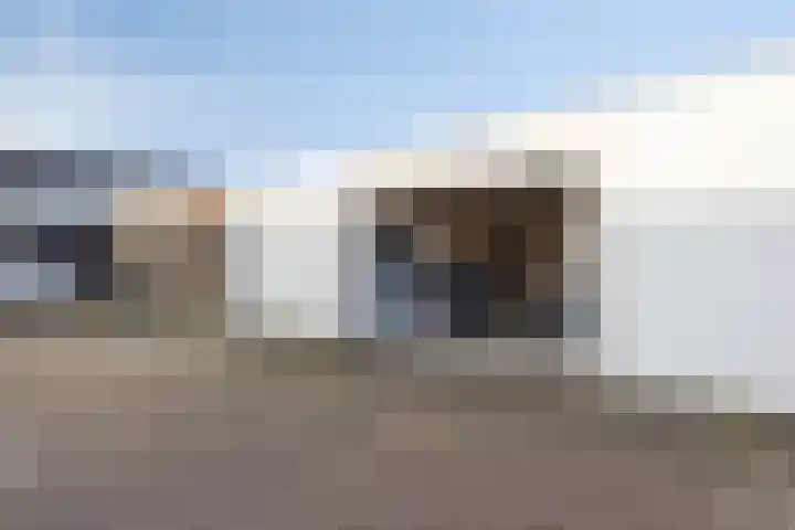 Diepvoorde 2919 Wijchen thumbnail 19
