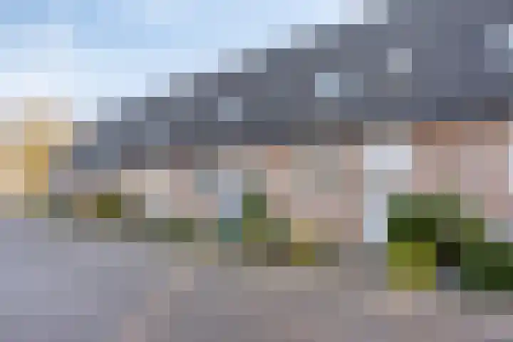 Diepvoorde 2919 Wijchen thumbnail 21