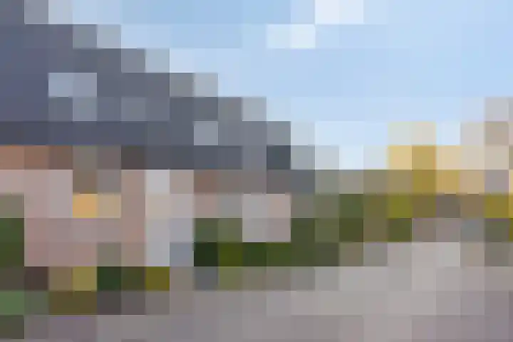 Diepvoorde 2919 Wijchen thumbnail 22