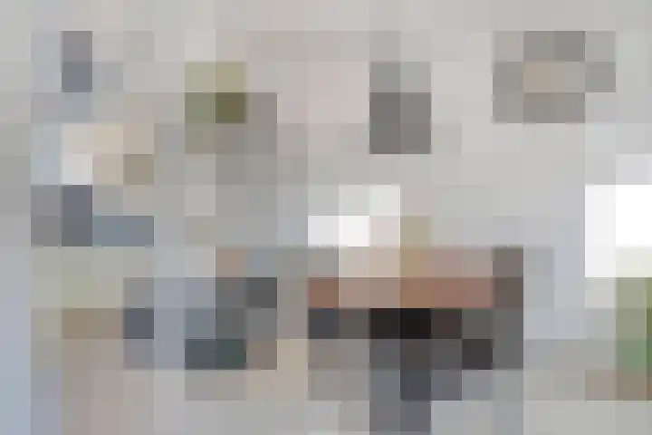 Diepvoorde 2919 Wijchen thumbnail 6