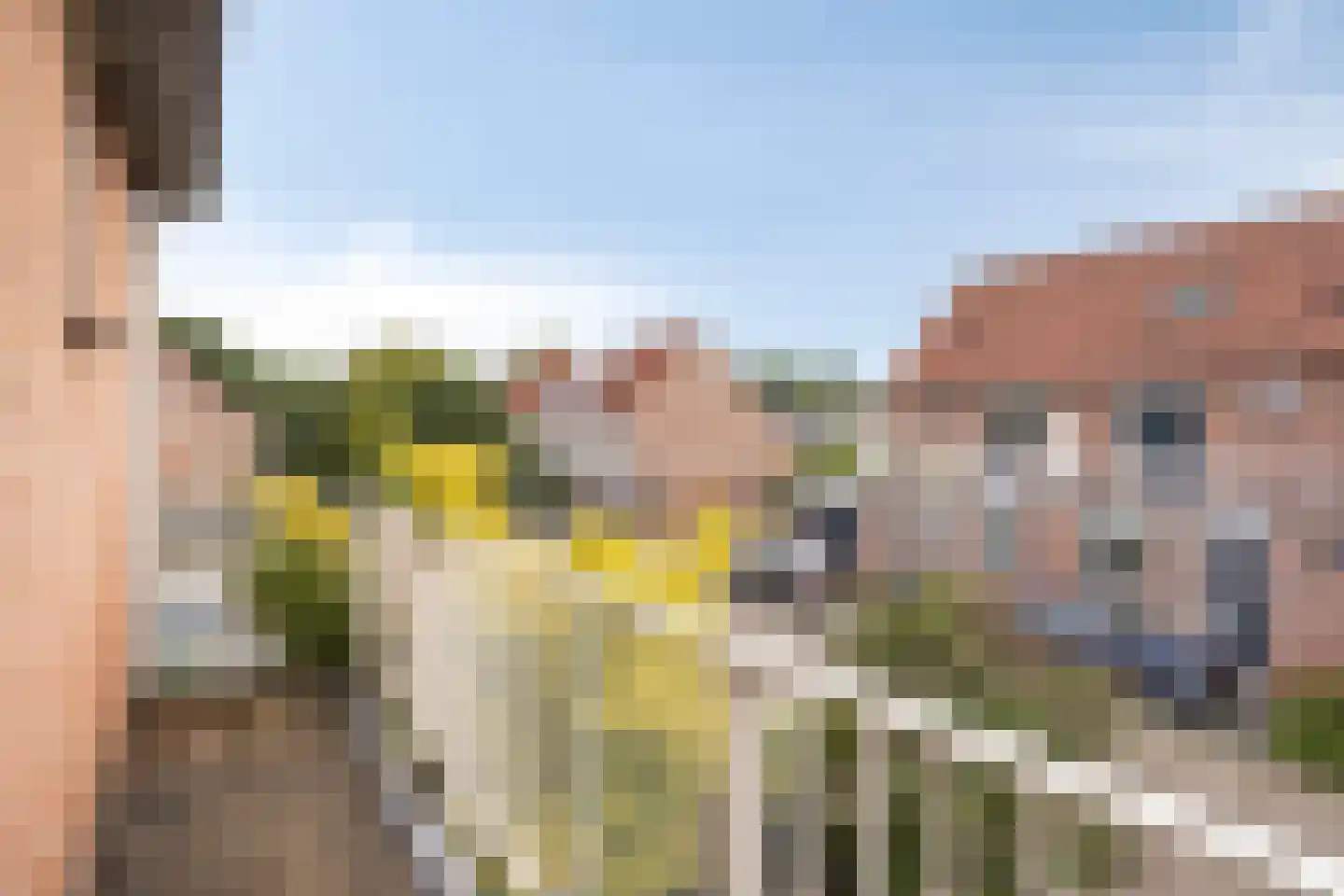 Diepvoorde 3104 Wijchen thumbnail 21