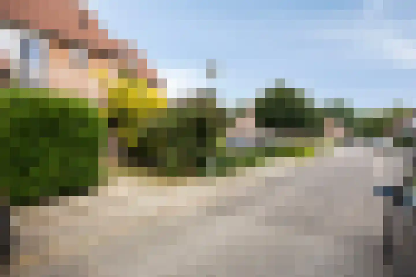 Diepvoorde 3104 Wijchen thumbnail 34