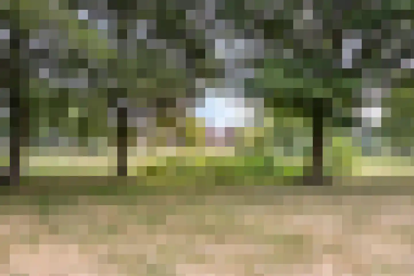 Diepvoorde 3104 Wijchen thumbnail 35