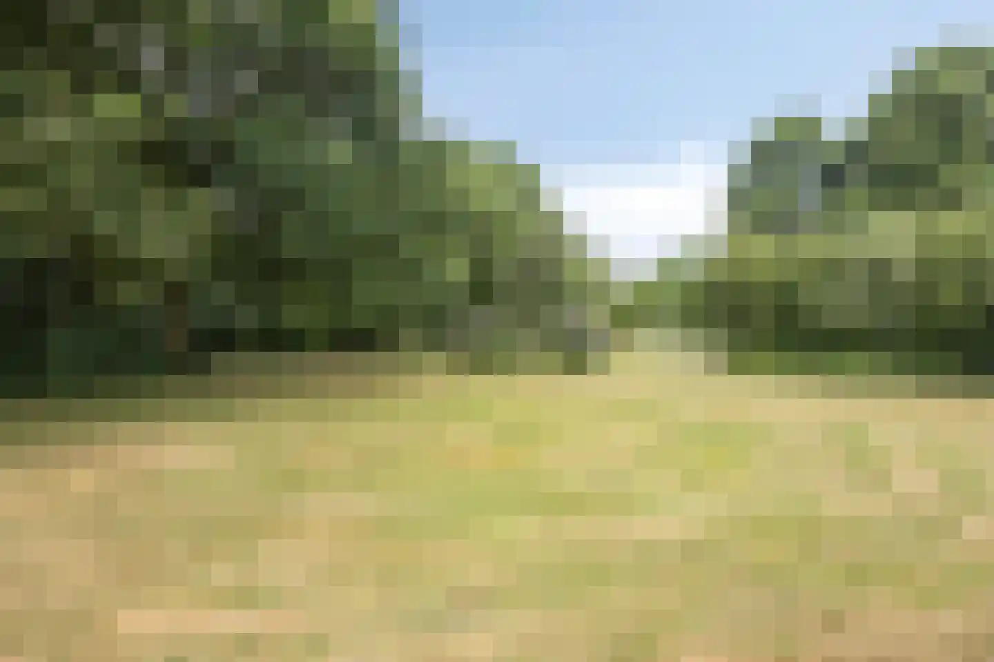 Diepvoorde 3104 Wijchen thumbnail 36