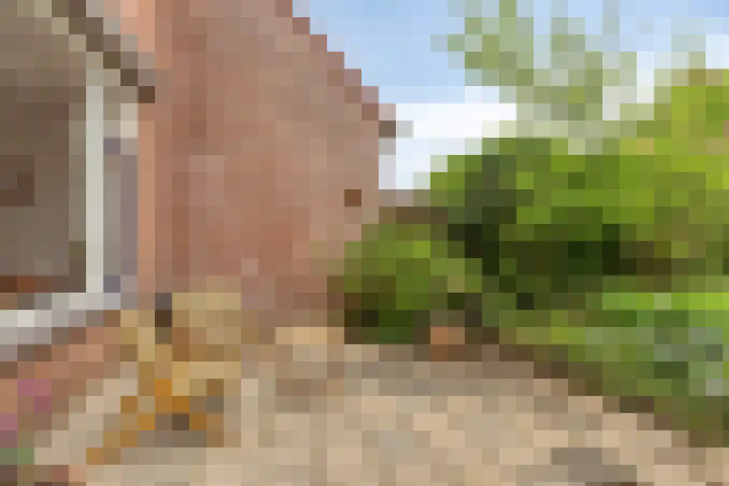 Diepvoorde 3107 Wijchen thumbnail 29