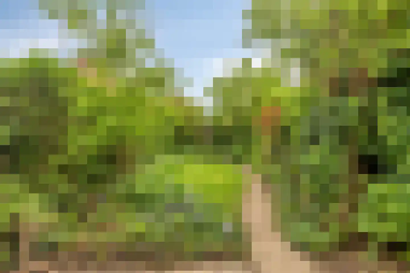Diepvoorde 3107 Wijchen thumbnail 30