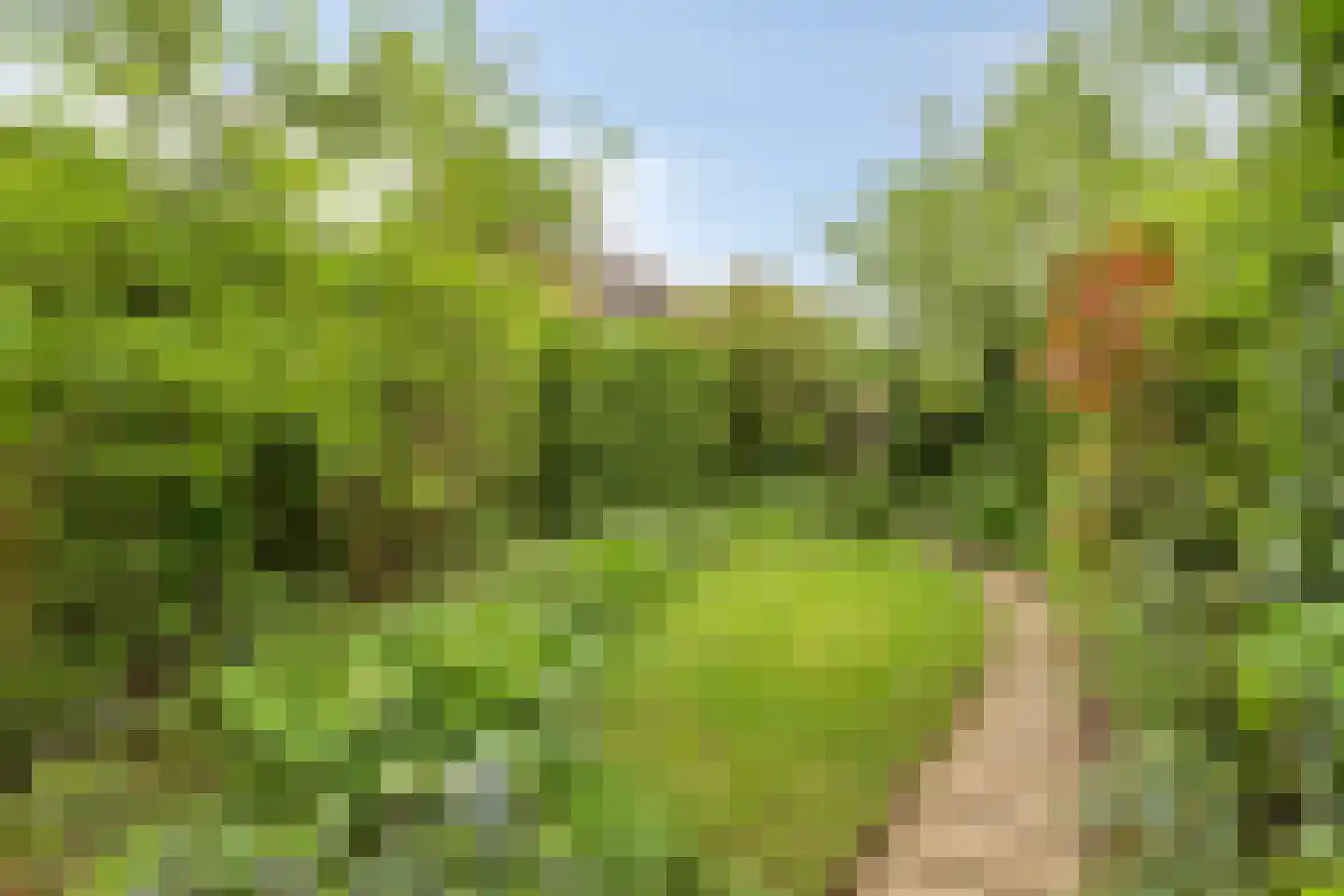 Diepvoorde 3107 Wijchen thumbnail 31