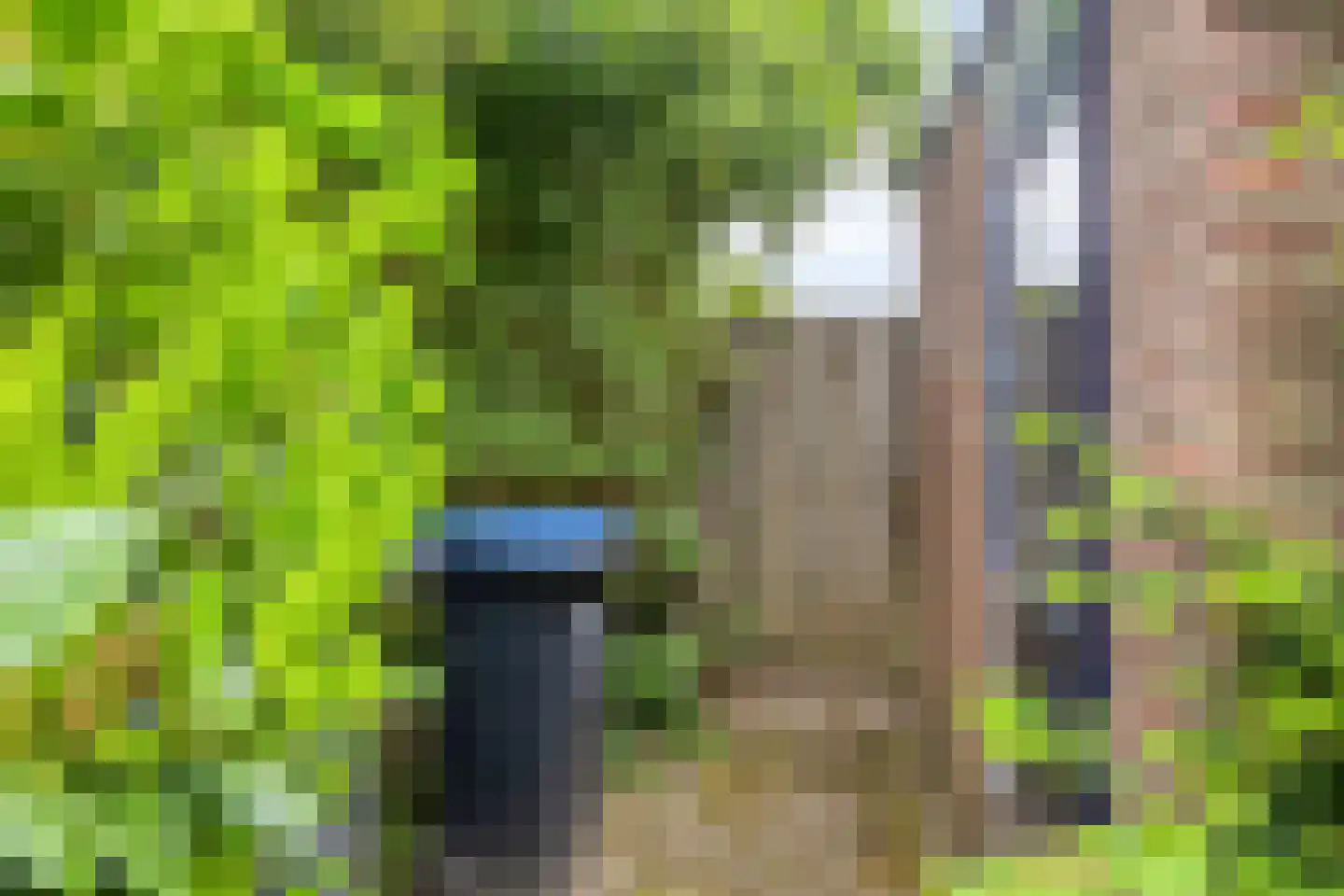 Diepvoorde 3107 Wijchen thumbnail 32