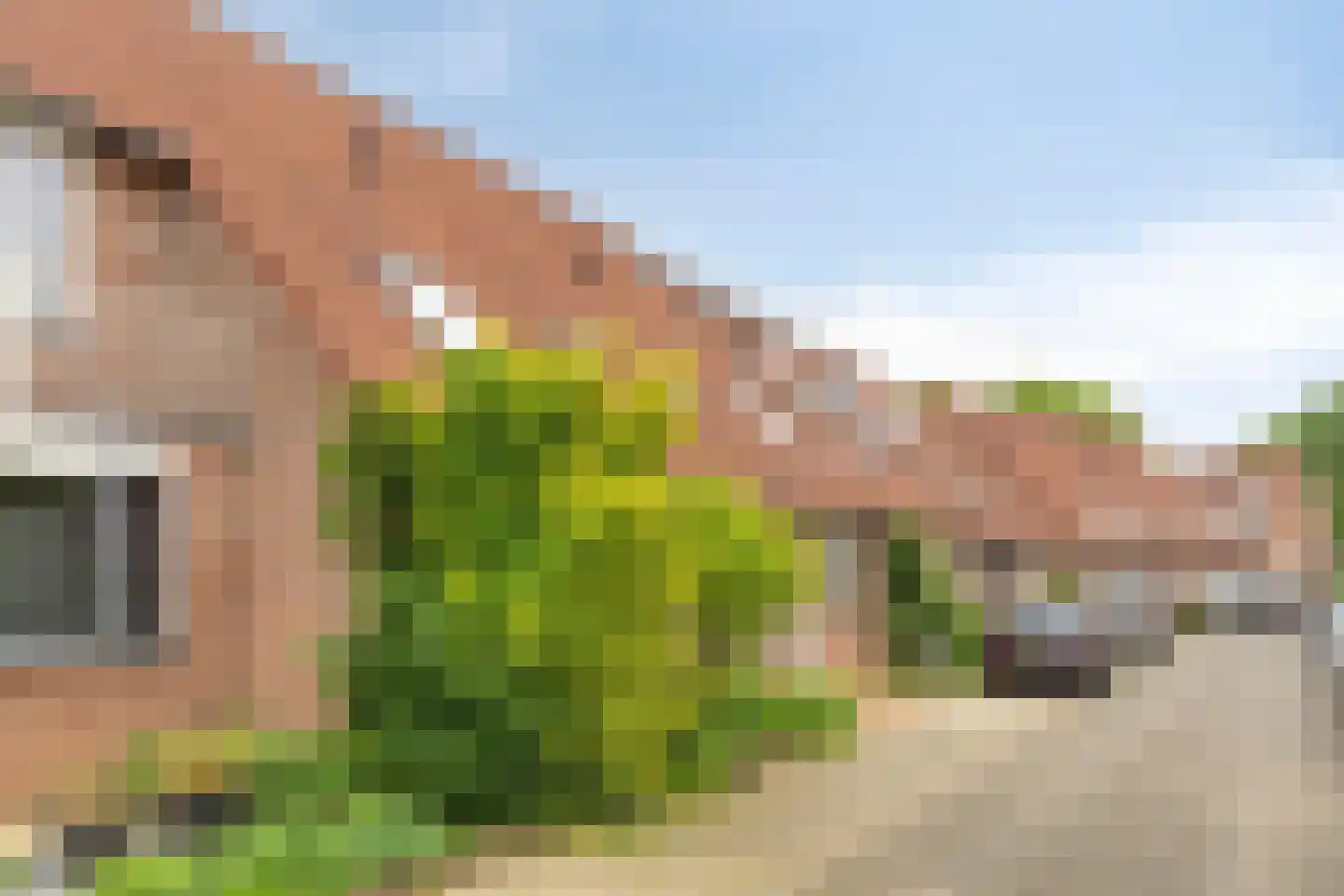 Diepvoorde 3107 Wijchen thumbnail 34