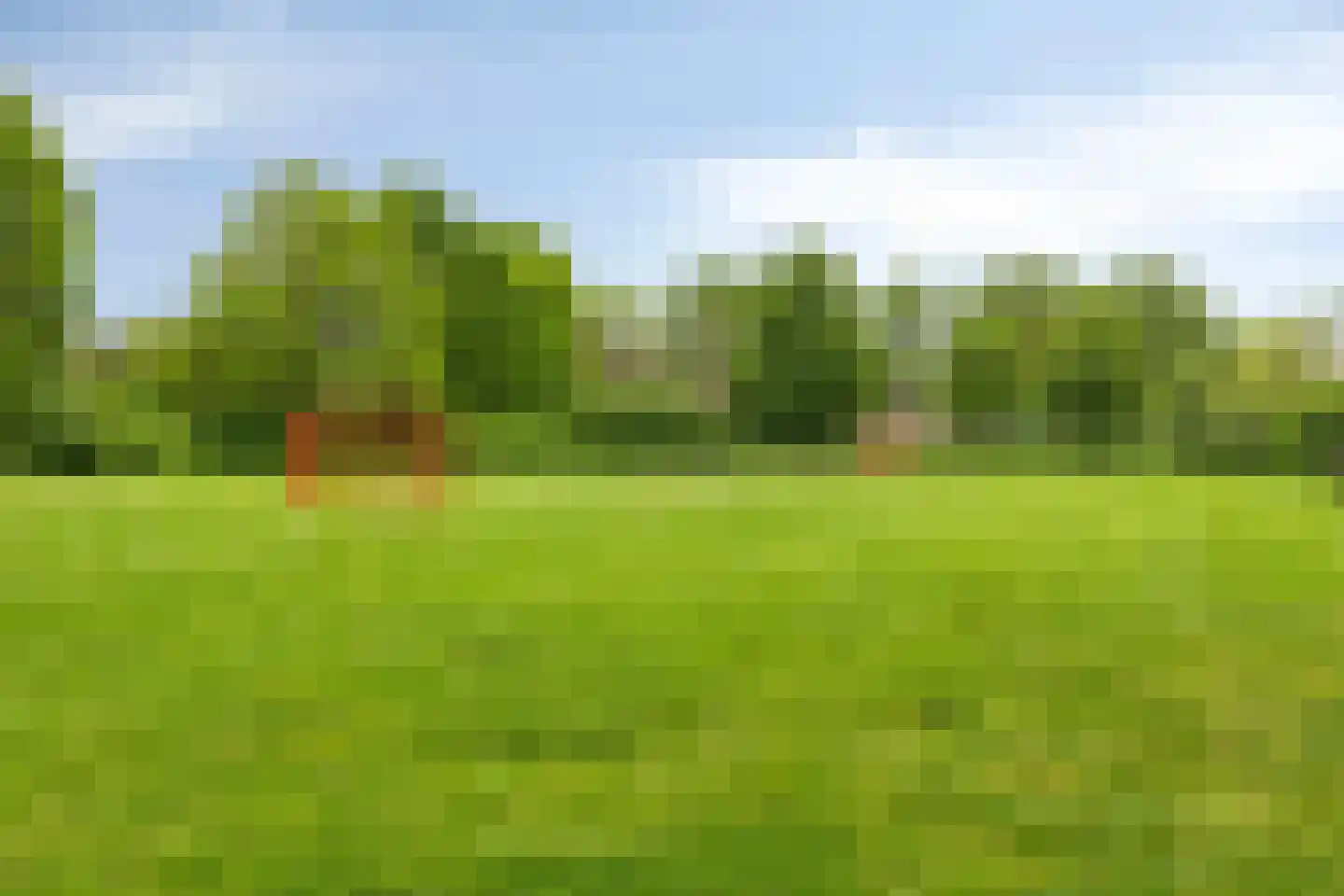Diepvoorde 3107 Wijchen thumbnail 37