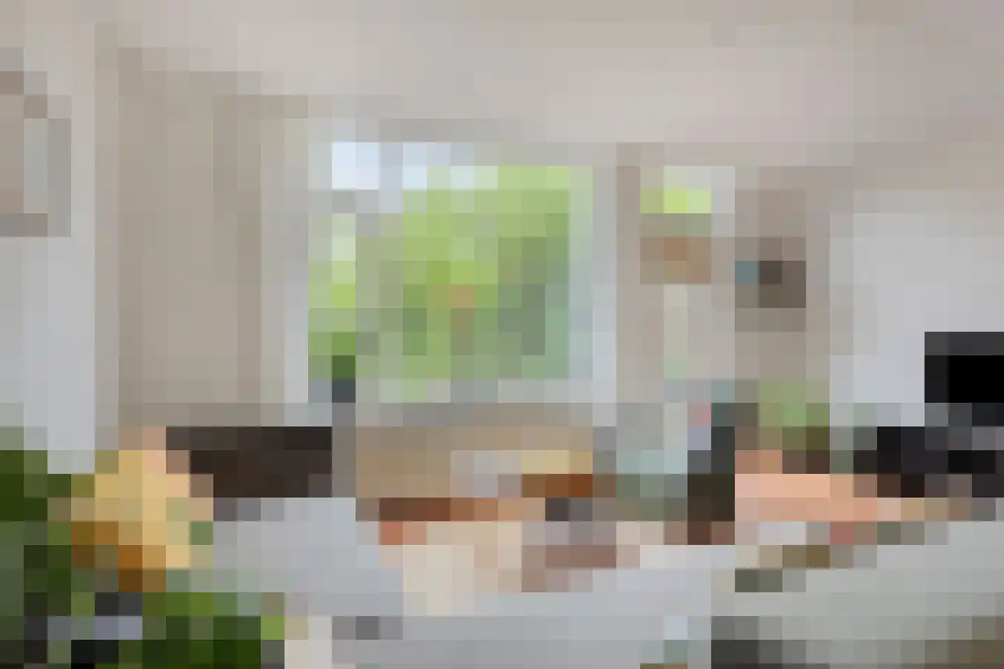 Diepvoorde 3107 Wijchen thumbnail 4