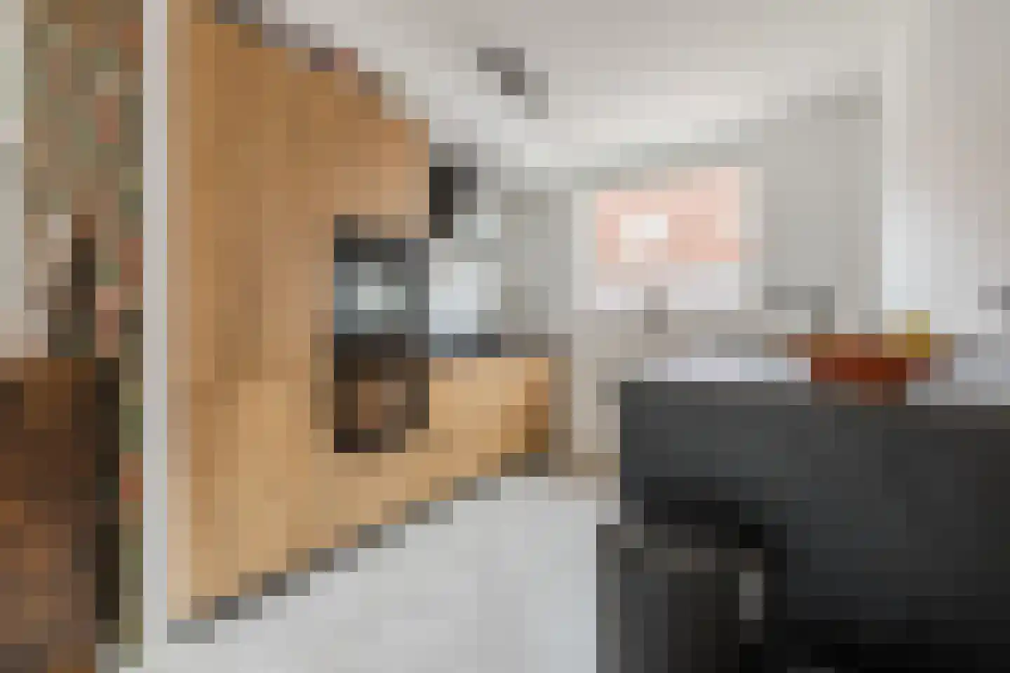 Diepvoorde 3116 Wijchen thumbnail 11