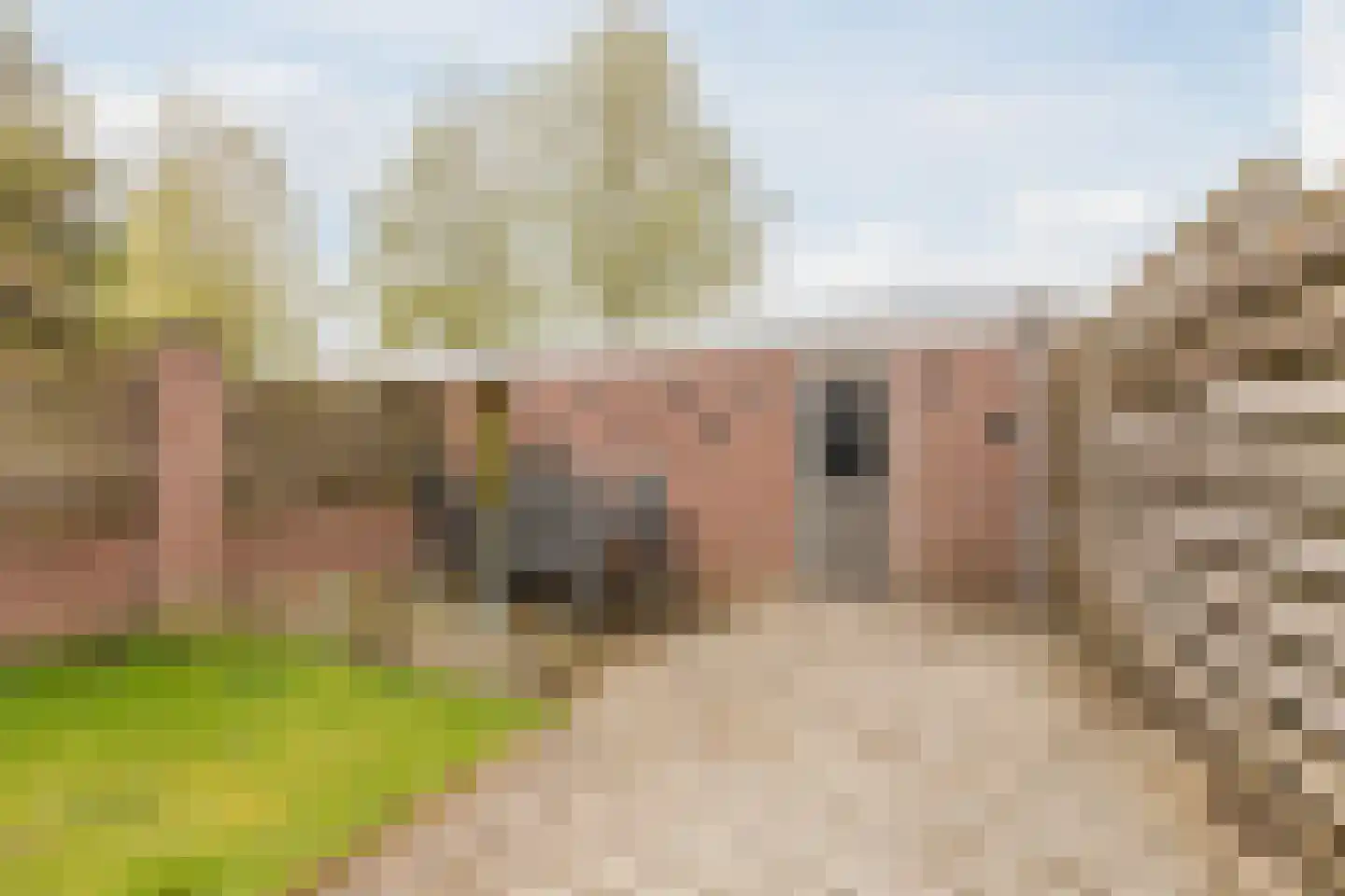 Diepvoorde 3116 Wijchen thumbnail 28
