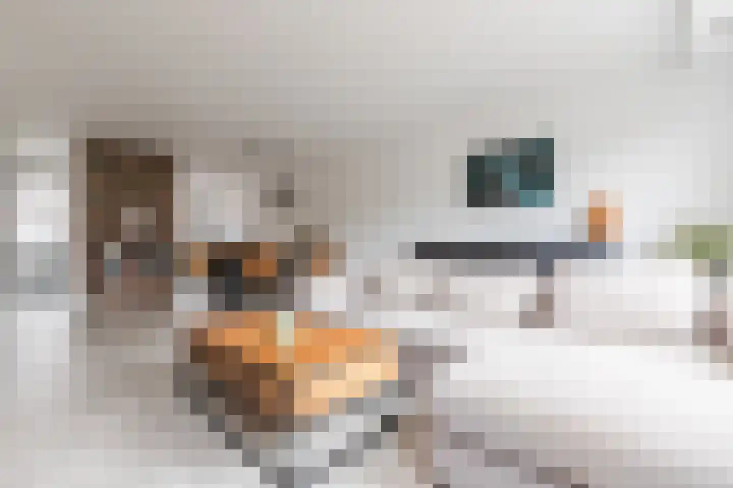 Diepvoorde 3116 Wijchen thumbnail 7