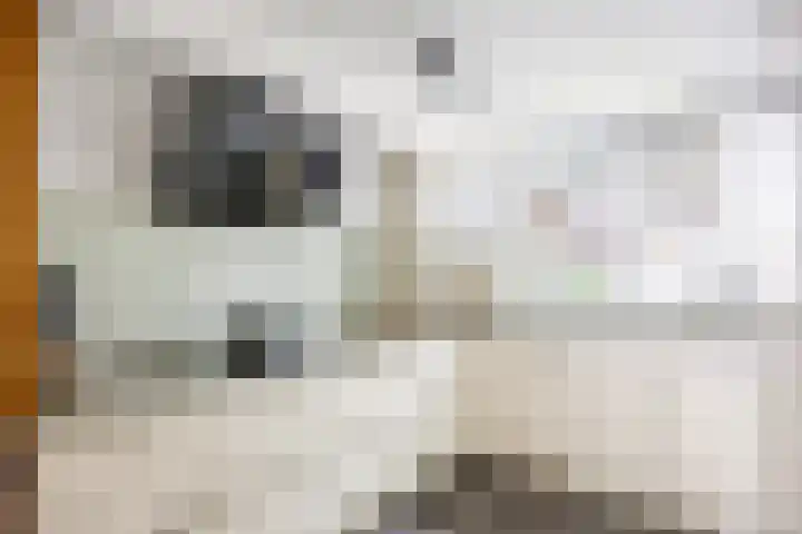 Diepvoorde 3128 Wijchen thumbnail 13