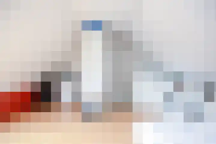 Diepvoorde 3128 Wijchen thumbnail 28