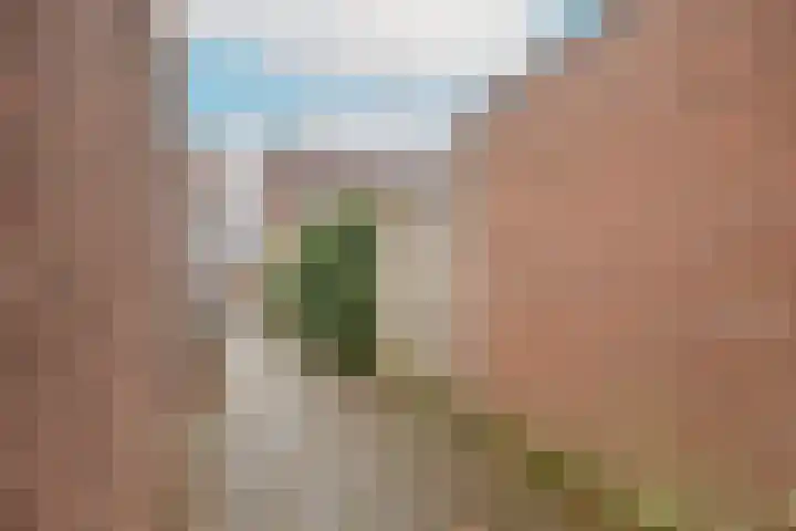 Diepvoorde 3128 Wijchen thumbnail 38