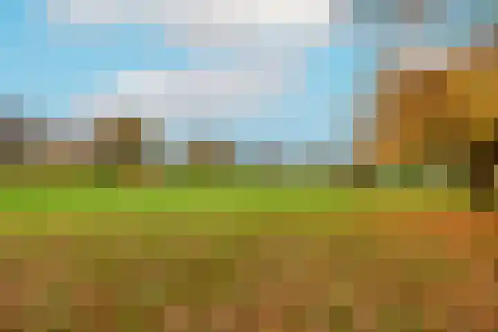 Diepvoorde 3128 Wijchen thumbnail 42
