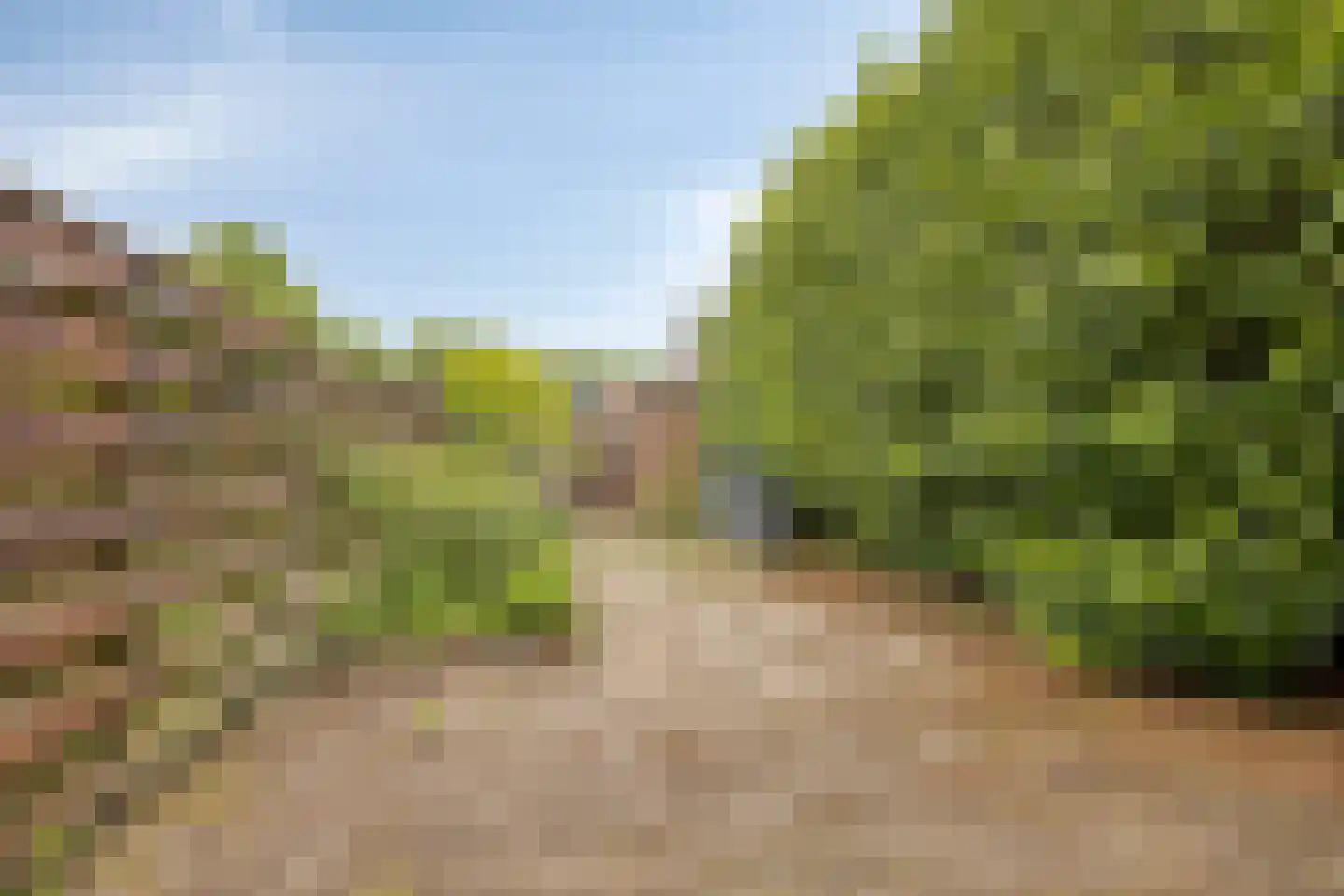 Diepvoorde 3205 Wijchen thumbnail 37