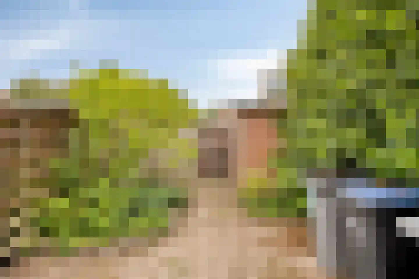 Diepvoorde 3205 Wijchen thumbnail 39