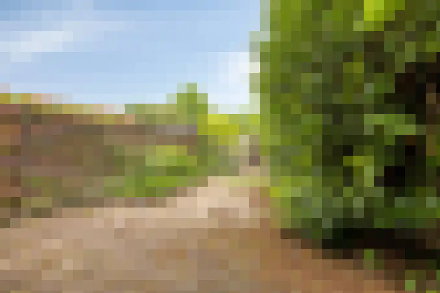 Diepvoorde 3205 Wijchen thumbnail 8